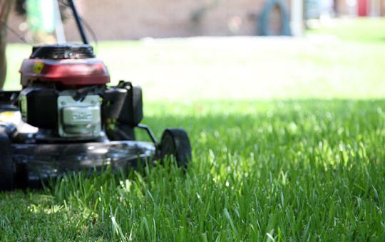A lawnmower cutting grass 
