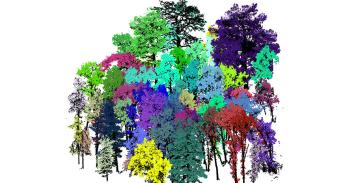 3D visualisation of forest plot. Credit Harry Owen.