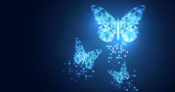 Butterfly abstract technology