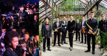 Composite image of Cambridge musicians