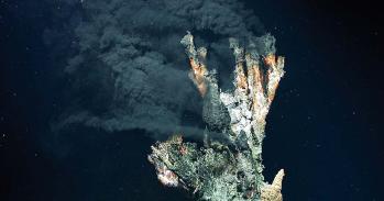 The hydrothermal vent 'Candelabra' in the Logatchev hydrothermal field.