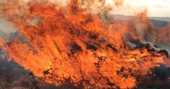 Fire on UK moorland