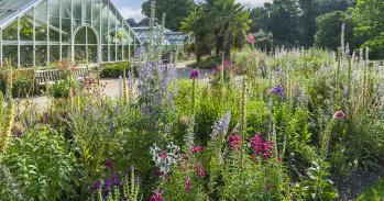 Cambridge University Botanic Garden