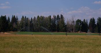 Timber/farming contrast in the USA