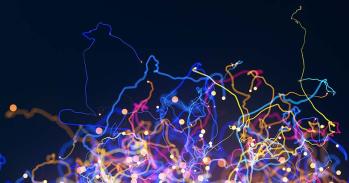 Abstract colourful lines