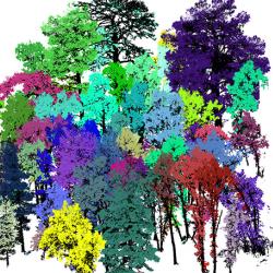 3D visualisation of forest plot. Credit Harry Owen.