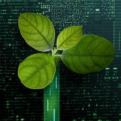 Green Leaf inside a Computer Circuit Board