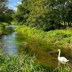 The River Mimram. Image: Charles Rangeley-Wilson