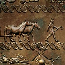 Ancient migrations