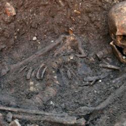 Skeleton of Richard III