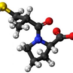 Ball-and-stick model of the '''captopril''' molecule, an ACE inhibitor used for the treatment of hypertension