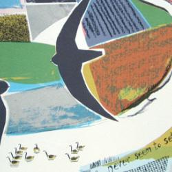'Swifts' lithograph from Carry Akroyd's 'Found in the Fields' series (detail) 