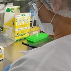 Testing samples for COVID-19