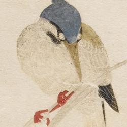 Detail of Kingfisher, woodblock printed in colour, Kitagawa Utamaro