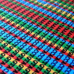 DNA code