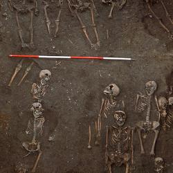 Finds beneath the Old Divinity School, St John's College