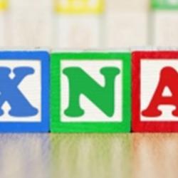 The study built on previous work which created synthetic molecules known as “XNA”, then used these as the basis of creating so-called “XNAzymes”.