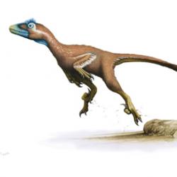 Deinonychus