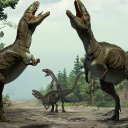 Tyrannosaurus tango