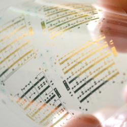 Circuits patterned on a plastic substrate