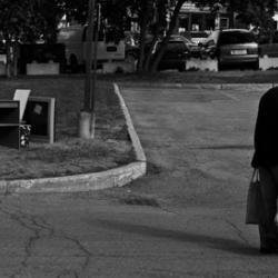 Pat, August 20, 2011 - Curb