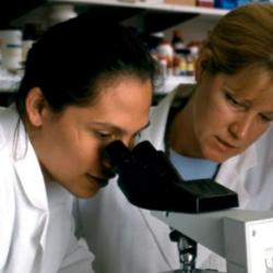 Study of Human Immune Response to HIV