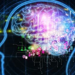 Maintaining Brain Health