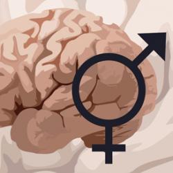Brains