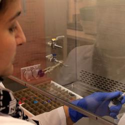 Stem Cell Research