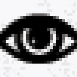 Eye