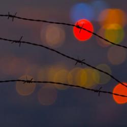 Barbed wire