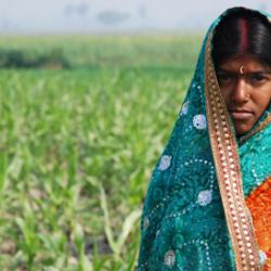 Farmer from the Indian state of Bihar