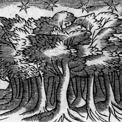 Henry Peacham, 'Silvius', from Minerva Britanna (1612)