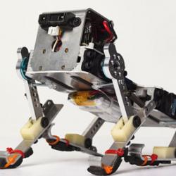 Puppy, a running robot developed by Fumiya Iida’s team
