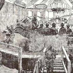 Woodcut of the famous (crowded) banquet in Benjamin Waterhouse Hawkins' standing Crystal Palace Iguanodon, New Year's Eve, 1853.