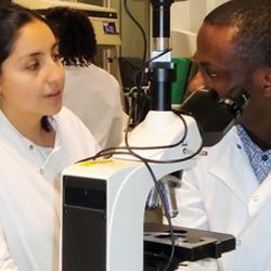 Molecular Lab Techniques Training
