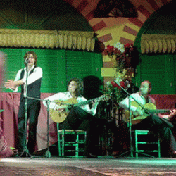 Flamenco by Veyis Polat (cropped)