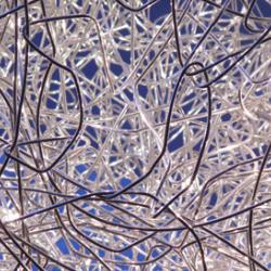 Neurons