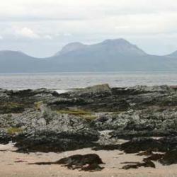 Oronsay