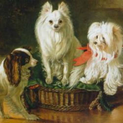 A toy spaniel, a Pomeranian and a Maltese terrier at a basket – Oil on Canvas by Johann Friedrich Wilhelm Wegener 1855