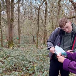 Researchers assess woodland condition at Alice Holt Forest
