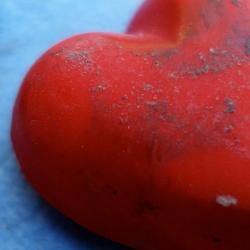 February is American Heart Month