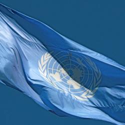 Flag of the United Nations.
