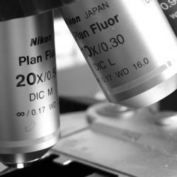 Nikon Microscope