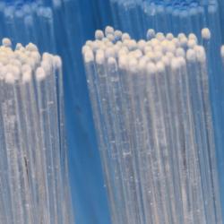 Fiber Optics
