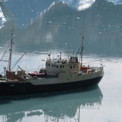 Fox Anchored