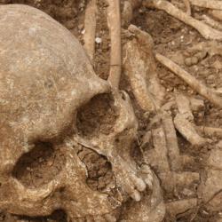 Finds from the mass grave in Dorset.