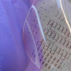 Printed electronic test circuit manufactured on a flexible plastic substrate at the Cavendish Laboratory, University of Cambridge