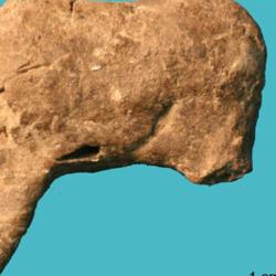 Leg and torso from the model of a four-legged animal, possibly a deer or horse. This is one of 36 ceramic items recovered from Vela Spila, Croatia.