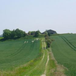 Green and pleasant land: A farm near East Meon in Hampshire.